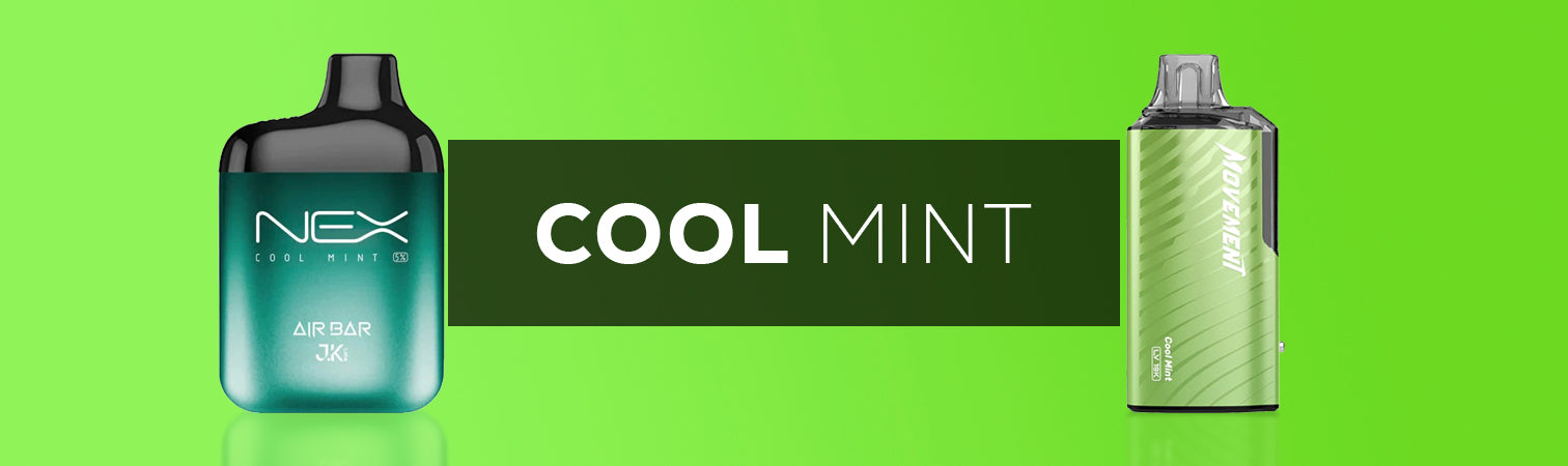 Cool Mint Flavor Disposable Vapes Online - Zmarksthespot Cool Mint Flavor Disposable Vapes Online - Zmarksthespot