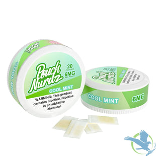Cool Mint Pouch Nurdz Nicotine Pouches 20 Pouches per can