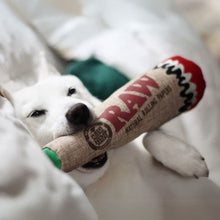 Cargar imagen en el visor de la galería, Raw Squeaky Cone Dog Toy