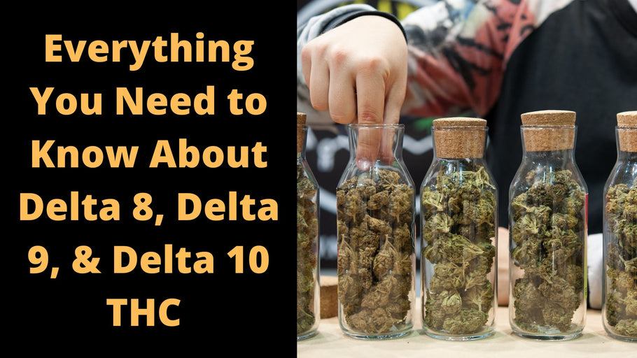 Everything You Need to Know About Delta 8, Delta 9, & Delta 10 THC