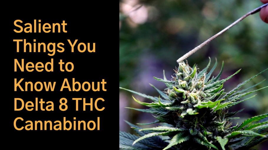 Salient Things You Need to Know About Delta 8 THC Cannabinol