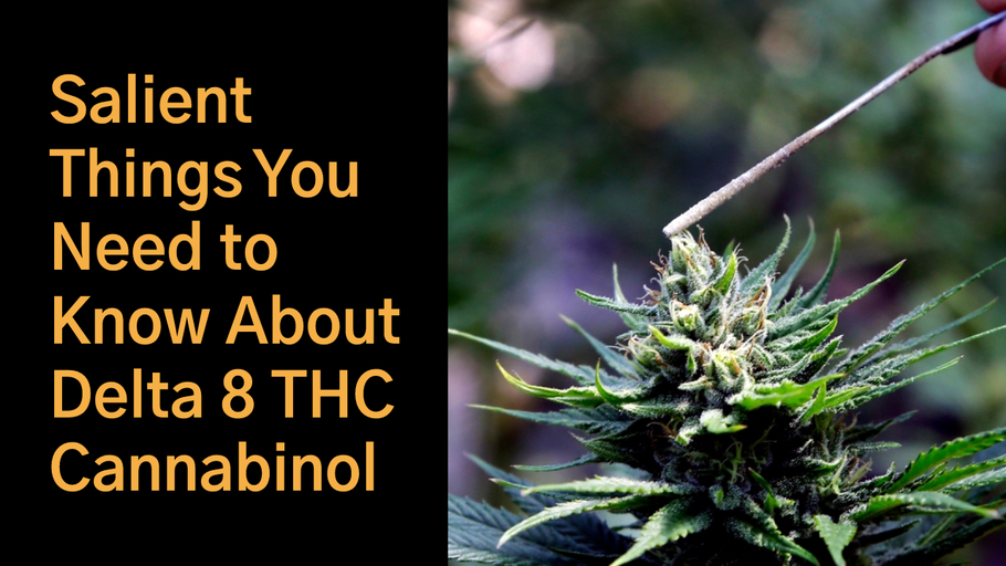Datos importantes que debes saber sobre el cannabinol Delta 8 THC