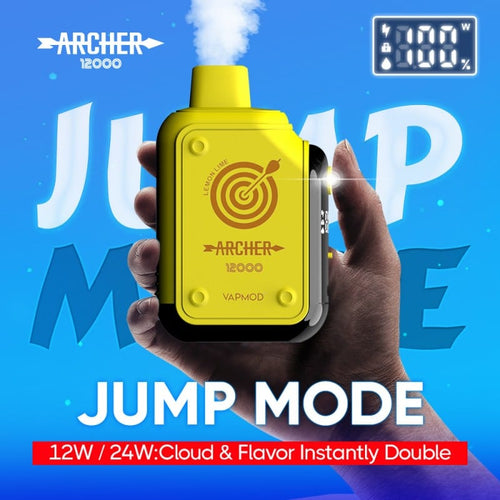 Archer 12000 Puffs Disposable Vape By VAPMOD