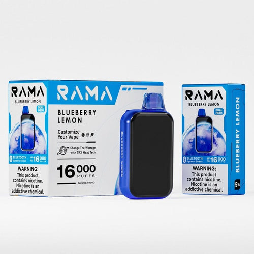 Blueberry Mint Rama 16000 Disposable Vape