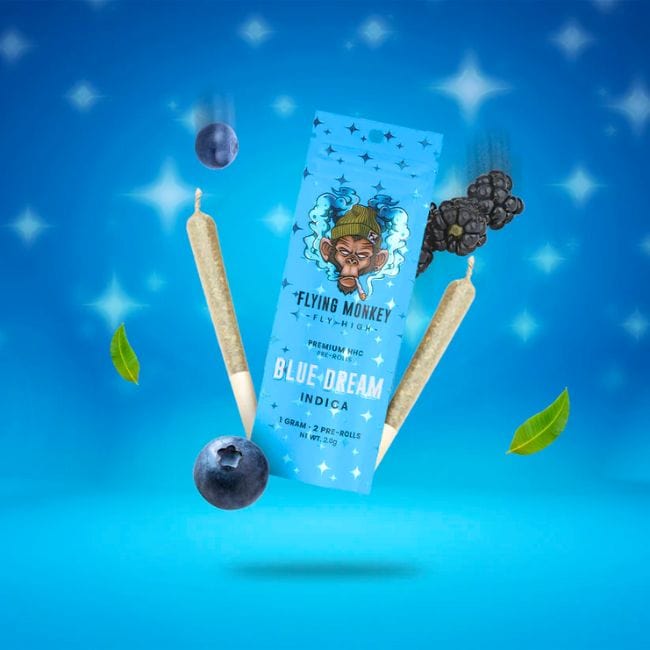 elfbar elfa master akku HHC 1 Gram Infused Pre Roll 2ct main image 0