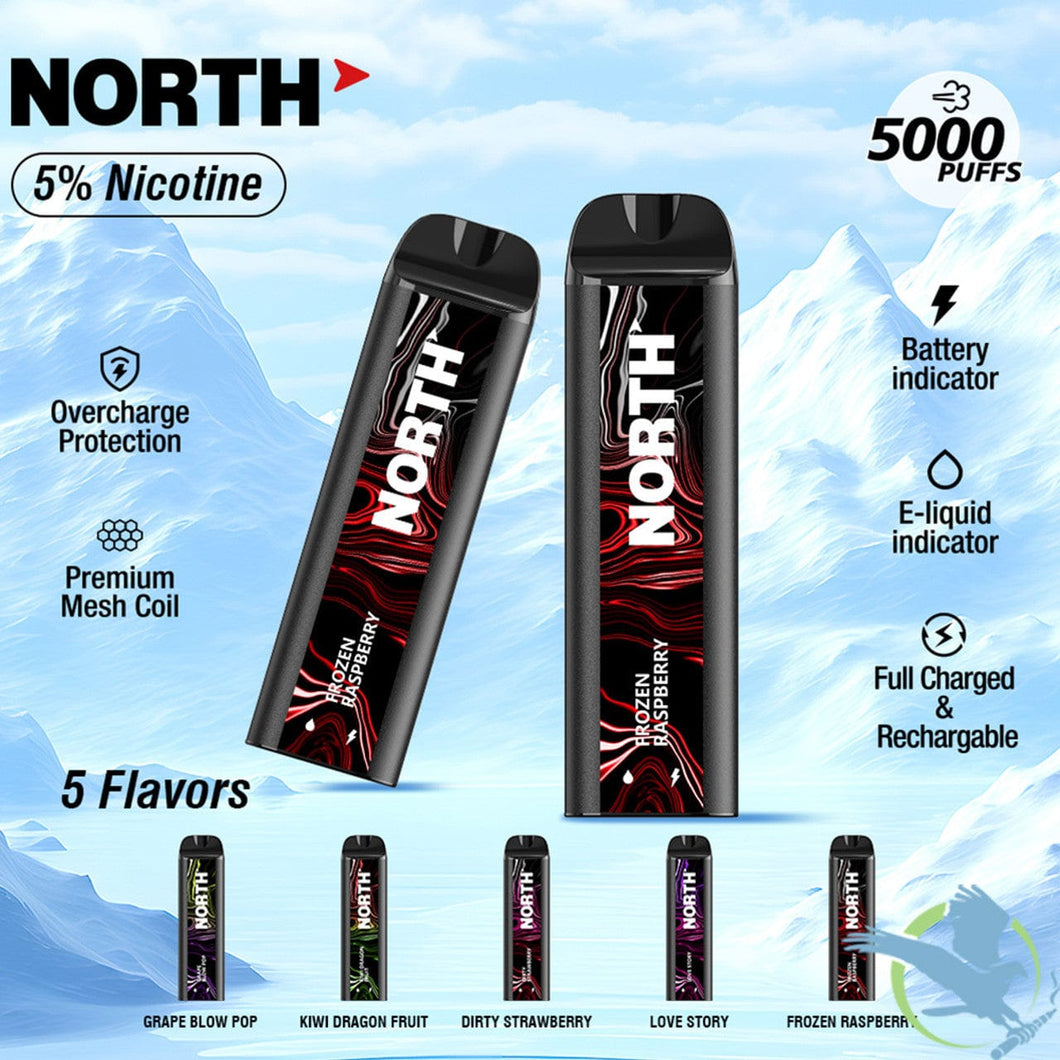 Frozen Raspberry North 5000 Disposable New August 2025