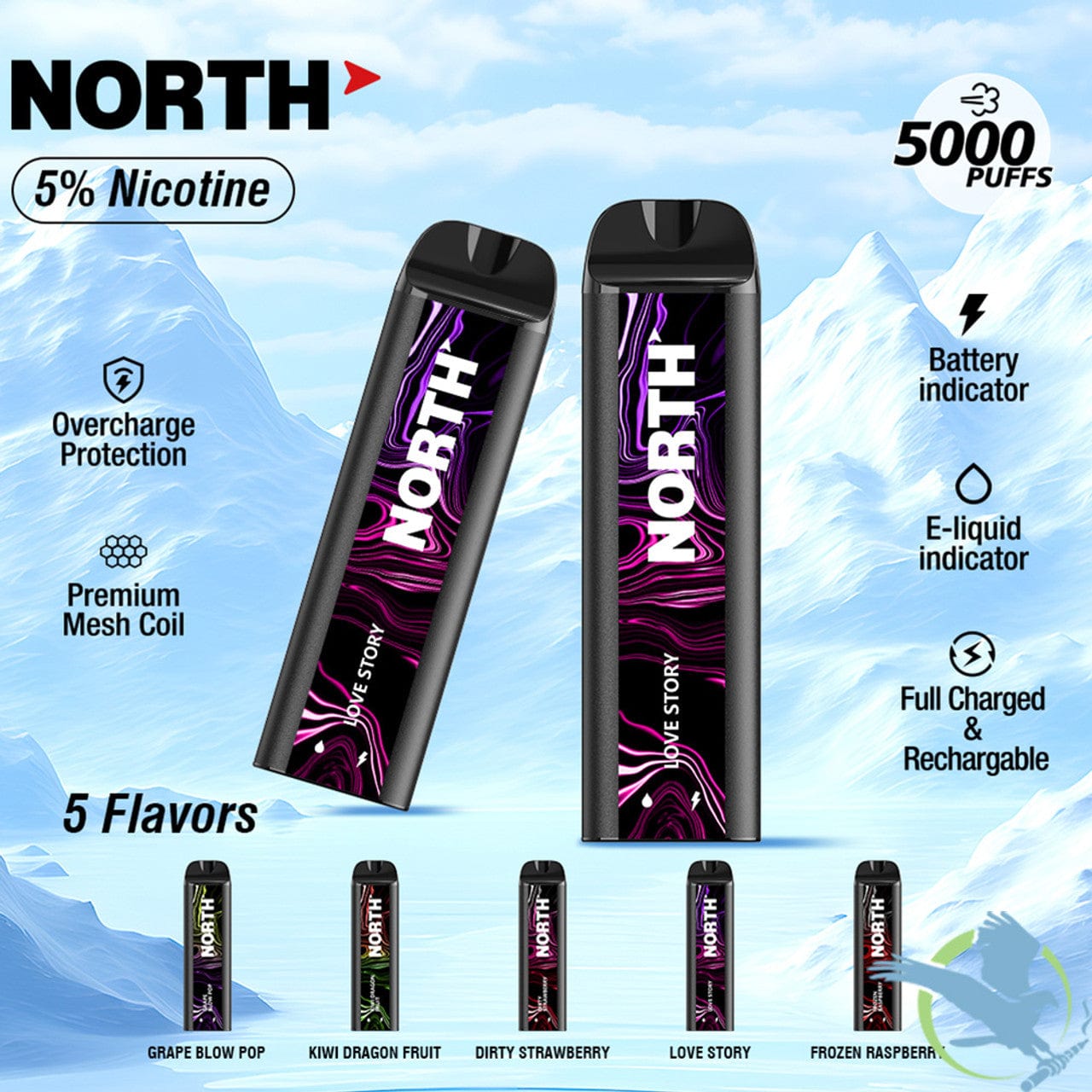North 5000 Disposable New August 2025 Vape