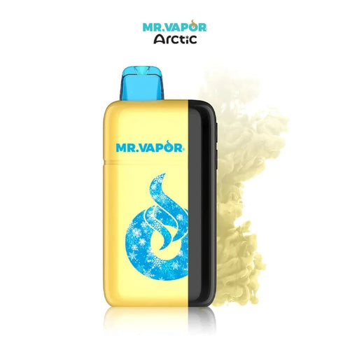 Mr Vapor Arctic Disposable Vape 30000