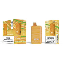 Load image into Gallery viewer, Pineapple Orange Mango Czar Cz9000 Disposable
