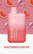 Load image into Gallery viewer, Single / Watermelon Bg EBCREATE BC5000
