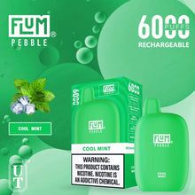 Load image into Gallery viewer, Cool Mint FLUM Pebble 6000 Puffs Rechargeable Disposable Vape 5% NIC
